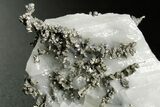 Native Silver in Calcite - Morocco #362742-2